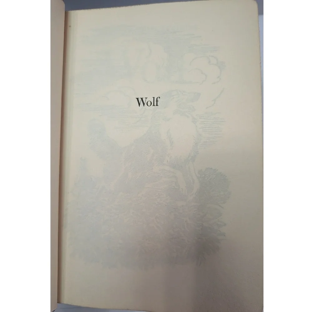 Grosset & Dunlap Albert Payson Terhune Dog Books Set 4 Blue Hardcover Vintage